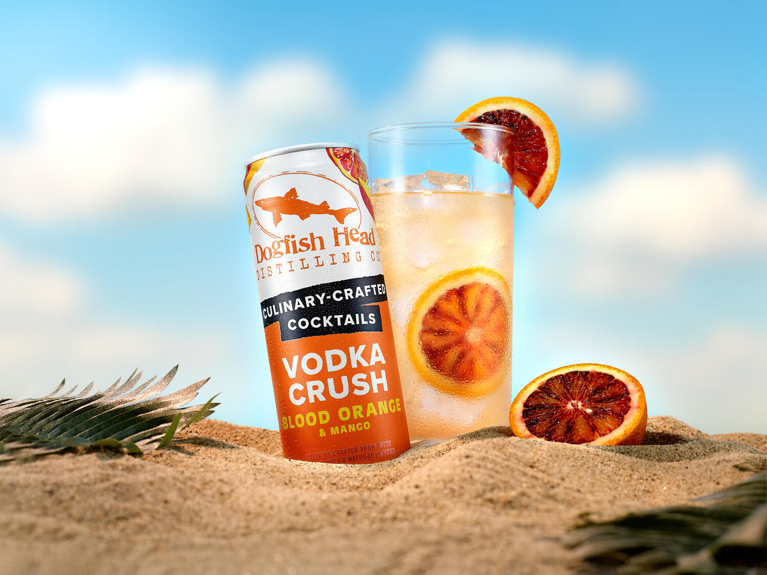 Dogfish Head Vodka Crush on the Beach by Arie Cooper